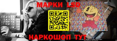 PSILOCYBIN Канаш