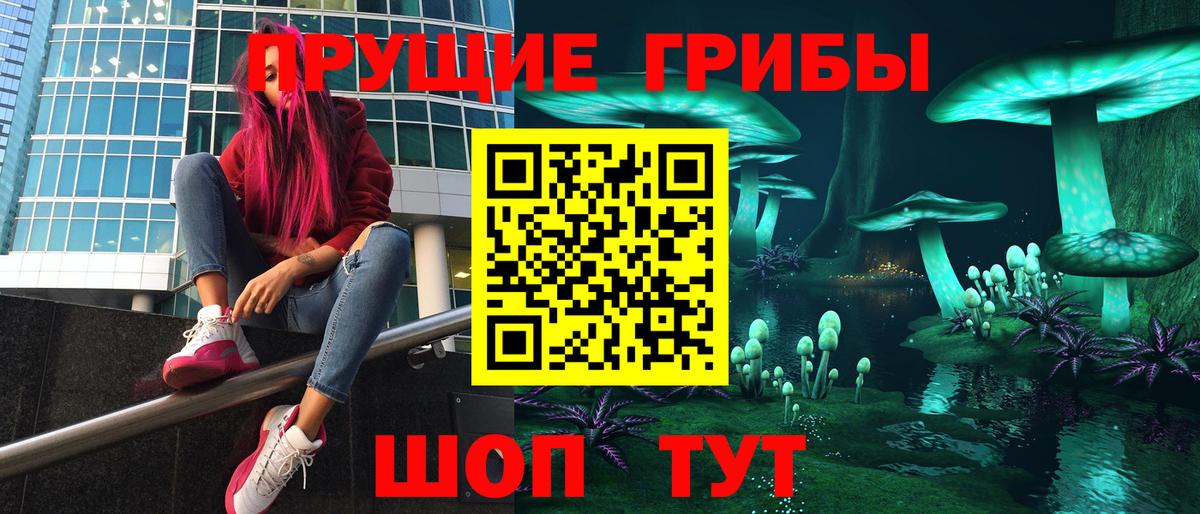 Галлюциногенные грибы Psilocybe Курск