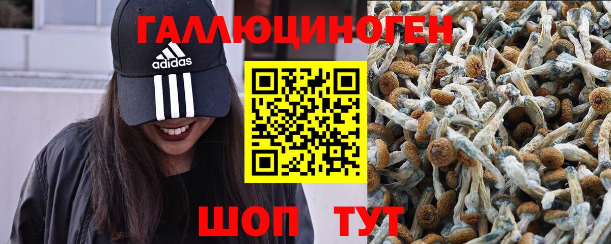 Галлюциногенные грибы MAGIC MUSHROOMS  Вход с VPN  Курск 